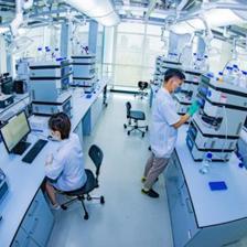 守正出新，正道致遠——從技術開發看勁牌2019社會責任擔當