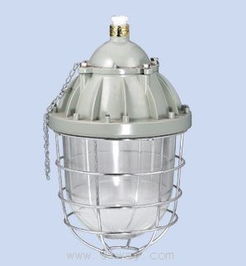 防爆燈應(yīng)急解決方案 安能達(dá)防爆電器供應(yīng)與專業(yè)制造